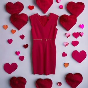 Antonio Melani, hot pink, structured sheath